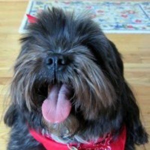 Meet your Posher, Ruby